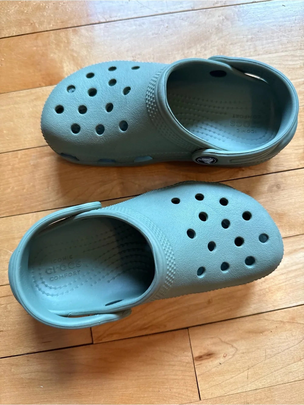 Kids Crocs-Style Clogs in Sage Green